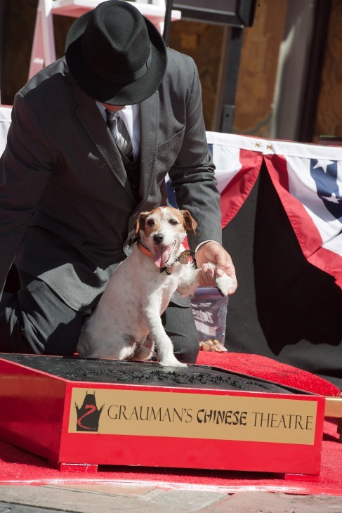 A photo of Uggie the Dog putting his paw in black cement, aided by his handler