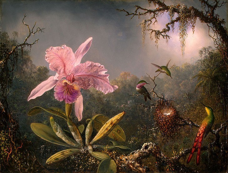 'Cattleya Orchid and Three Brazilian Hummingbirds' by Martin Johnson Heade 