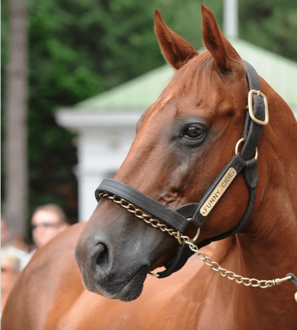 Funny Cide