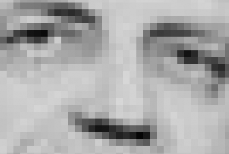 Black and white photo, heavily pixillated to show just the eyes and nose of a famous sex researcher