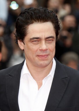 Benicio Del Toro