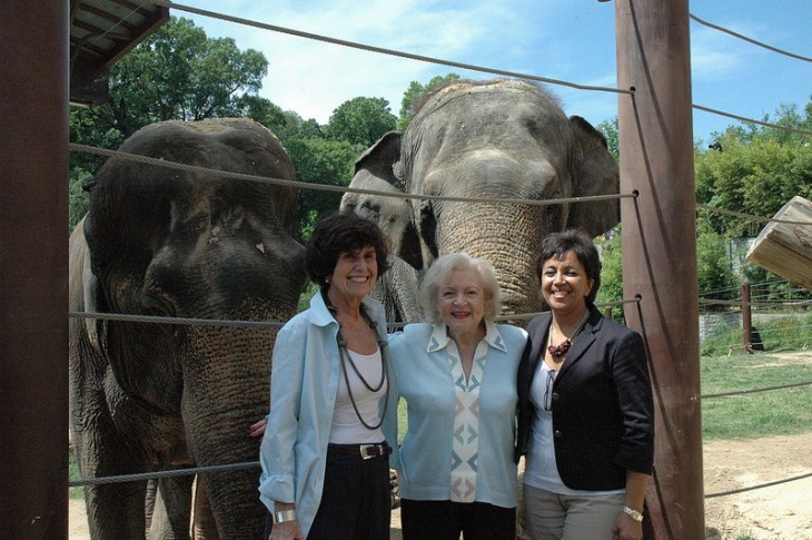 Photo of Betty White posing with two women in front of two elephants in their enclosure