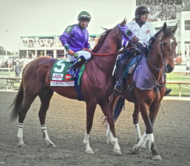 California Chrome