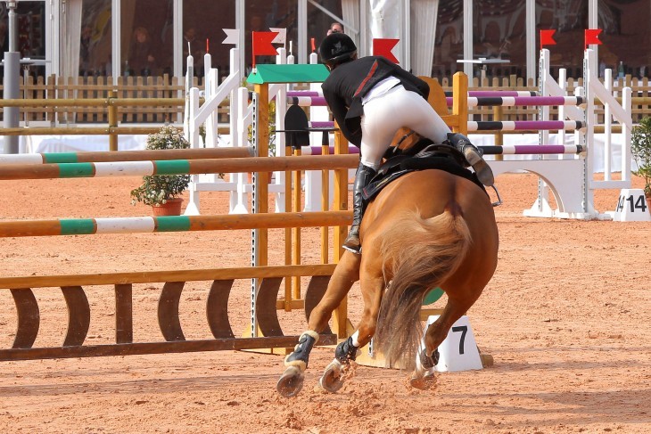 Photo of Charlotte Casiraghi landing on her horse after leaping up in the ring