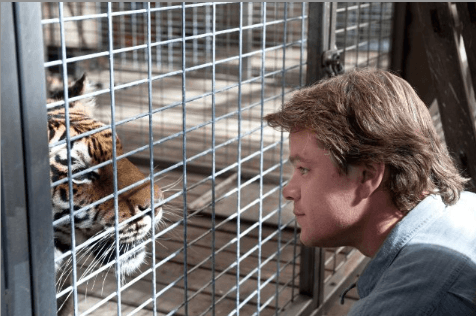 Photo of Matt Damon peering into a cage at a tiger, who is just inches away