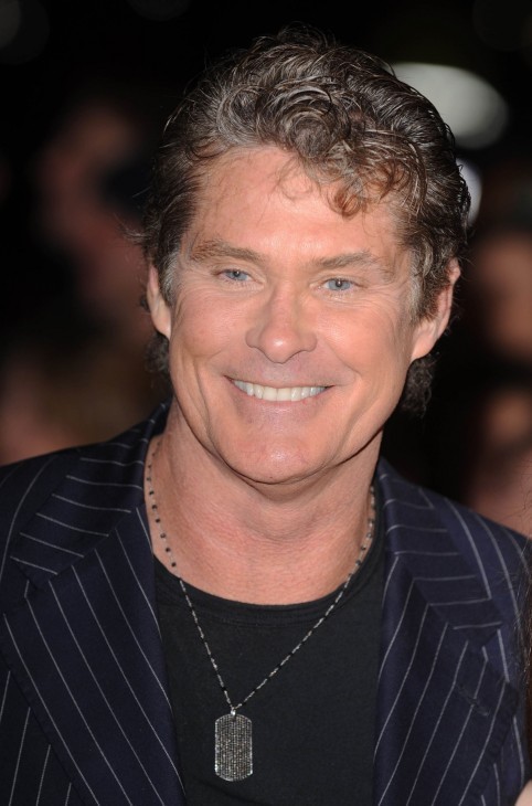 David Hasselhoff Who2