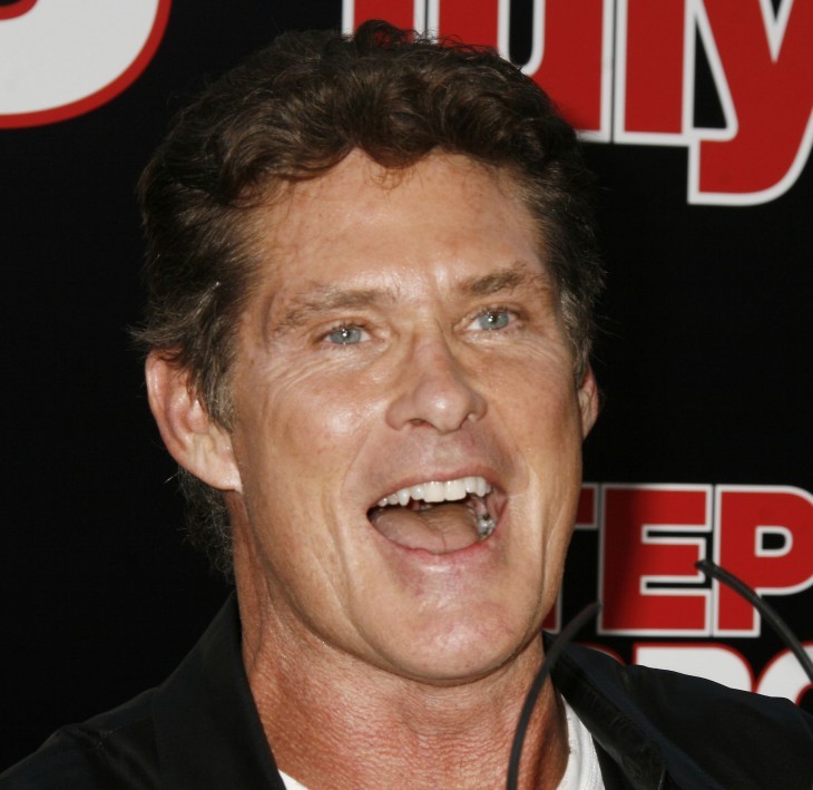 David Hasselhoff Who2