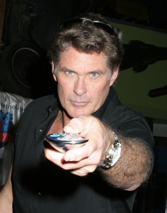 David Hasselhoff Who2