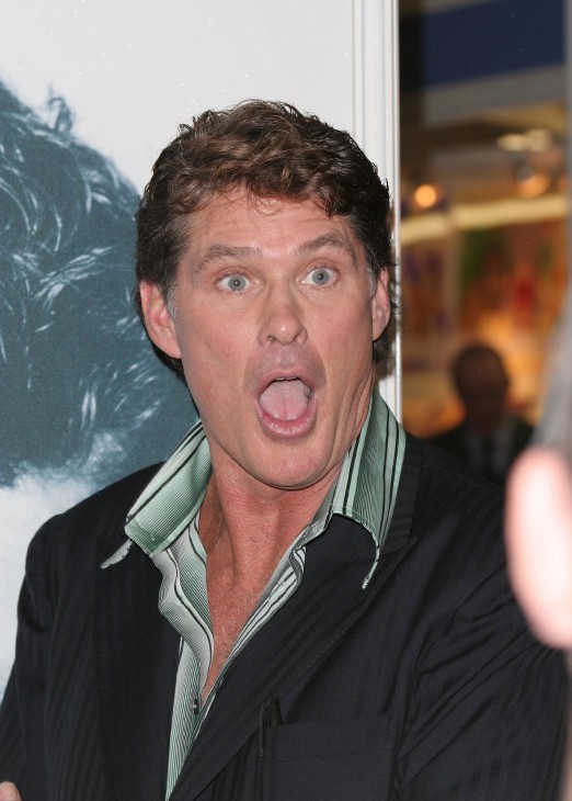 David Hasselhoff Who2