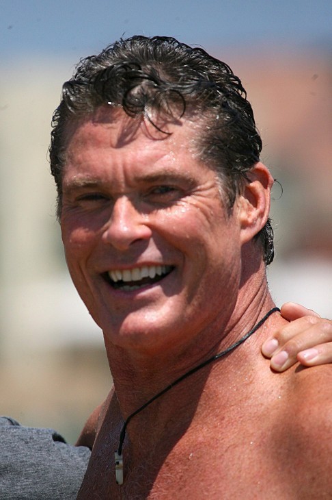 David Hasselhoff Who2