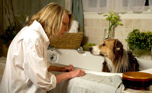 A photo of Diane Keaton washing a stray dog in the bathtub, as the dog looks gratefully at her