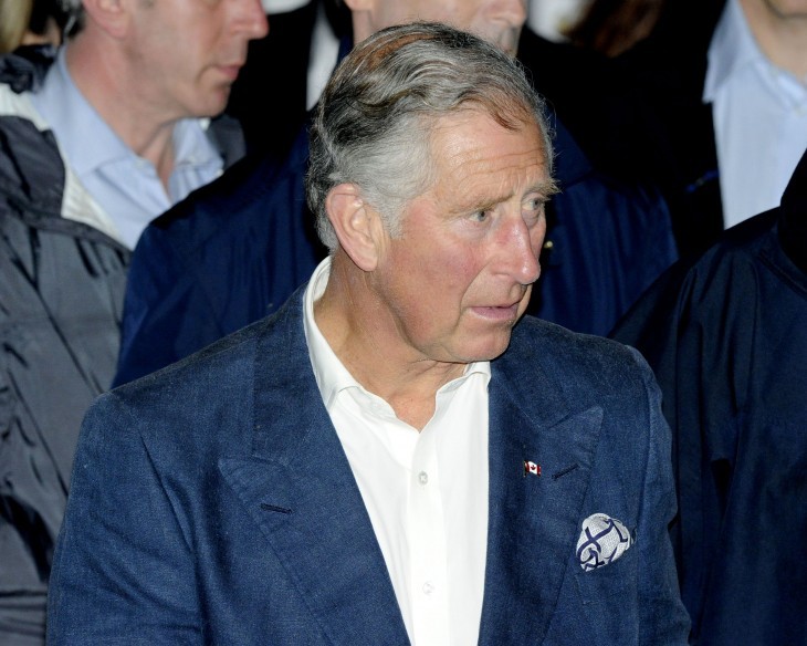 Photo of Prince Charles in a blue sportcoat and open collar, looking a little bit frazzled