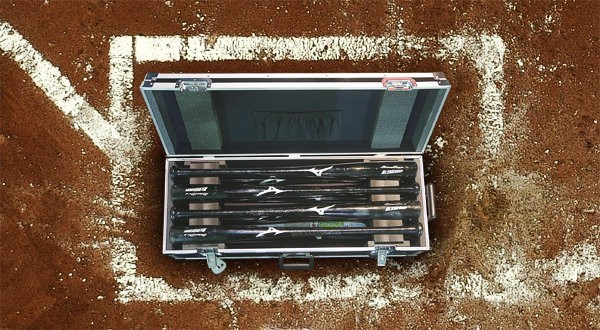 Photo of a hard-sided, cushioned travel case with eight bats lined up neatly inside