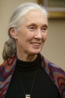 Jane Goodall