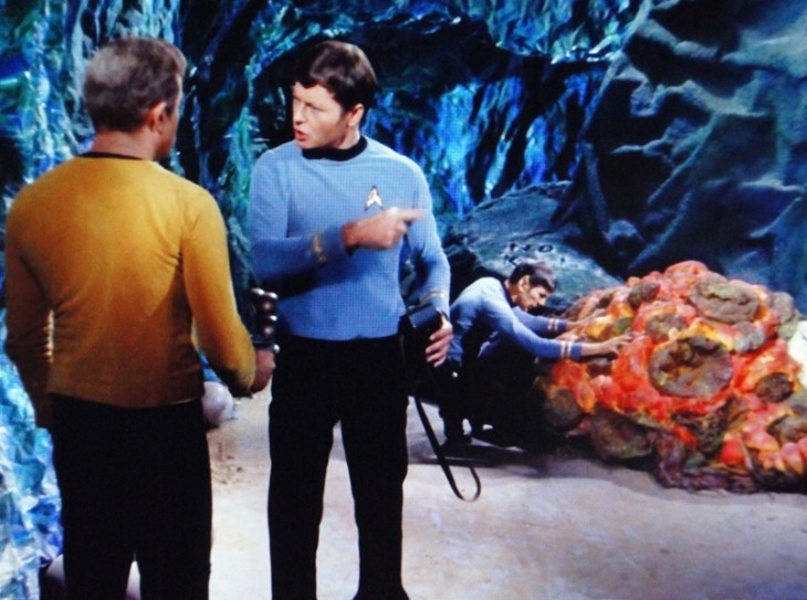 Kirk, McCoy, Spock and the Horta.