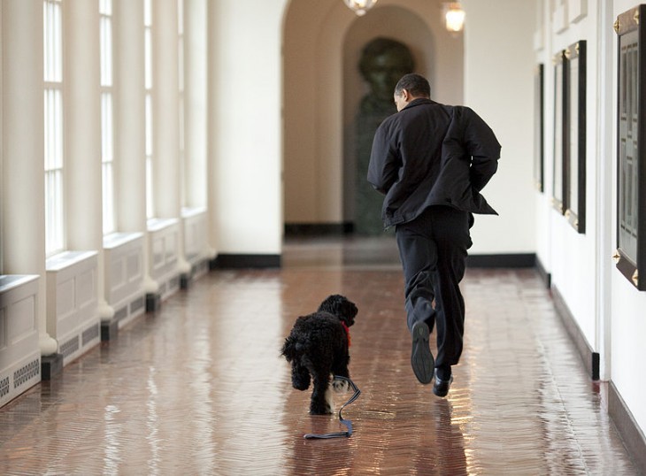 President Obama runs along a White House hallway with dog Bo
