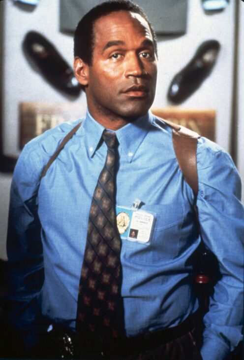 Naked Gun 33: The Final Insult - Wikipedia