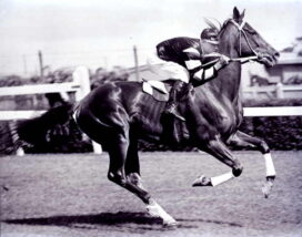 Phar Lap