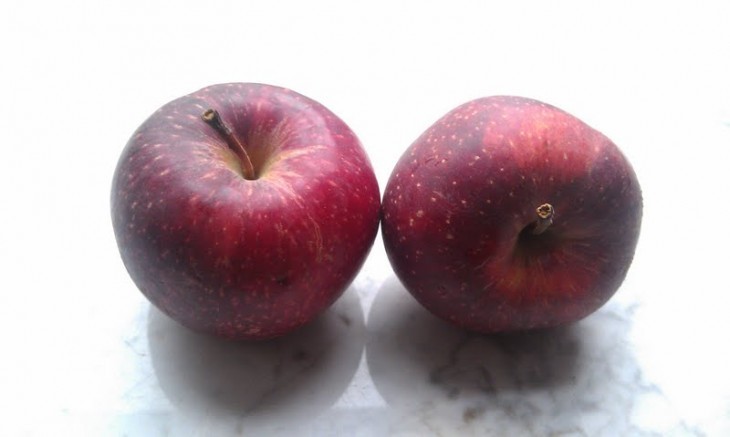Photo of two Spitzenburg apples on a bright marble counter