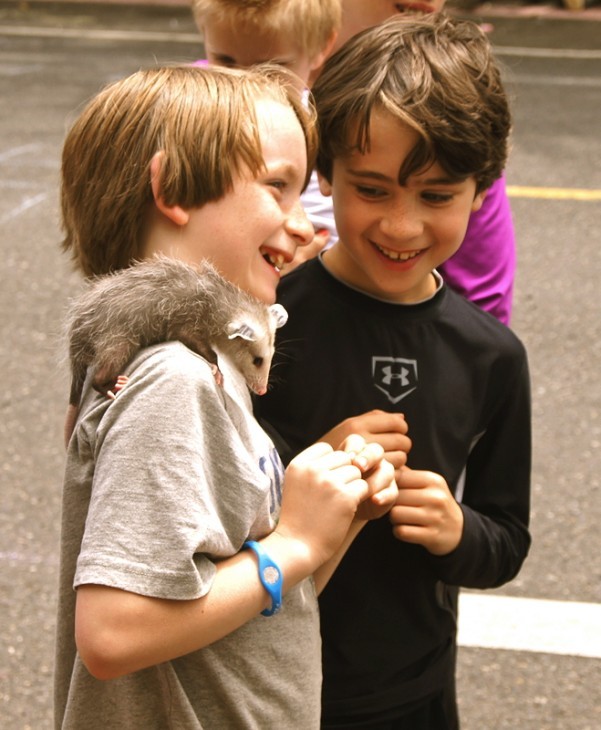 Yes, two kids playing with a young opossum