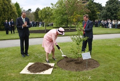 Photo of the queen, indeed, planting a tree with a spade and a pink suit