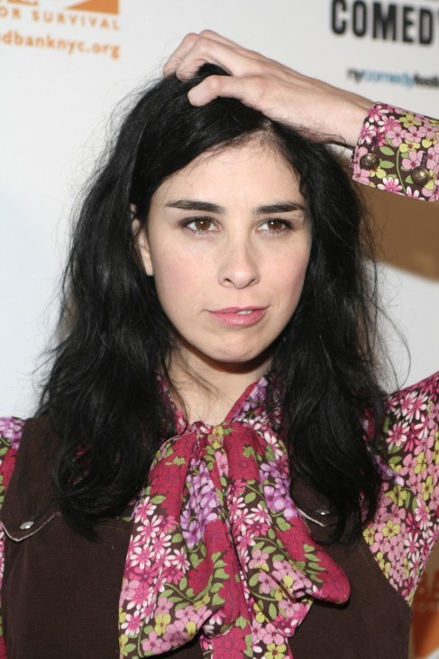 Sarah Silverman Who2 