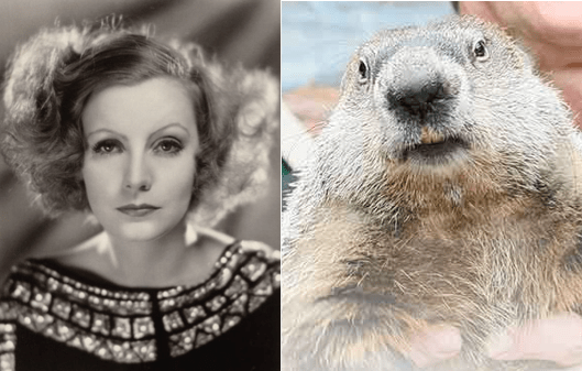 Photos of Greta Garbo and Punxsutawney Phil Side by Side