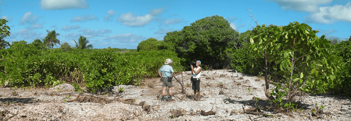 Photo of two men standing on a deserted island, taking measurements