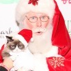 Santa Claus poses with an unhappy-looking cat
