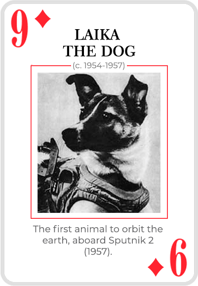 Laika the dog on a card