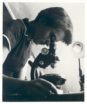 Rosalind Franklin looking into a microscope