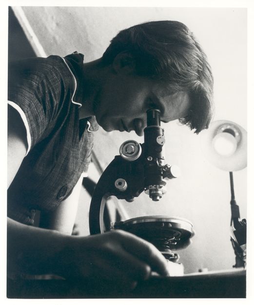 Rosalind Franklin looking into a microscope